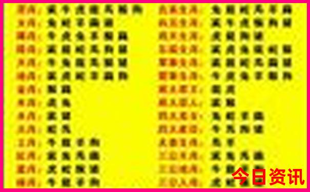 宝山有啥好玩的景点推荐